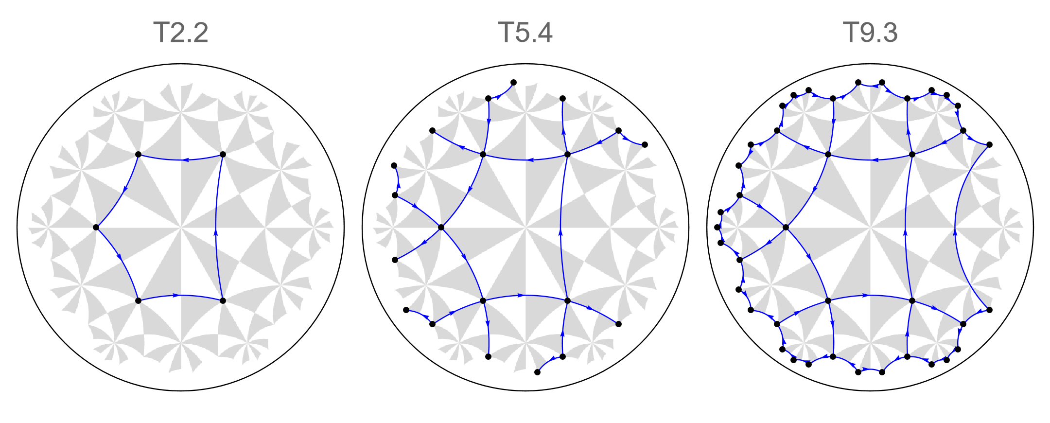 Vertices tessellation model {6,4}-lattice